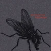 Geimer, P: Fliegen
