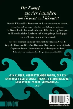 Gyasi, Yaa: Heimkehren