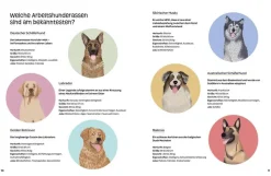 Hunde am Werk
