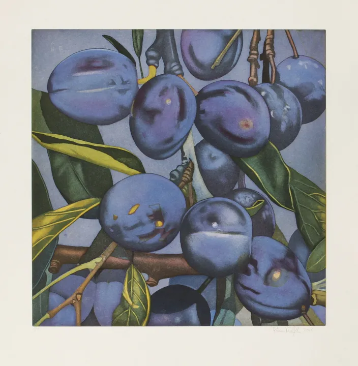 Kneffel, Karin: »Pflaumen«, 2005