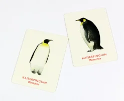 Memo Spiel »Vogelpaare«