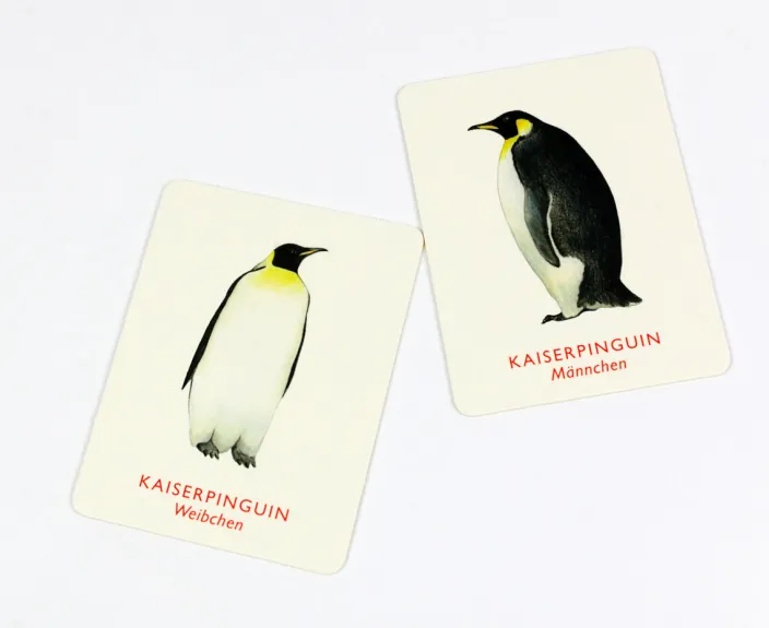 Memo Spiel »Vogelpaare«