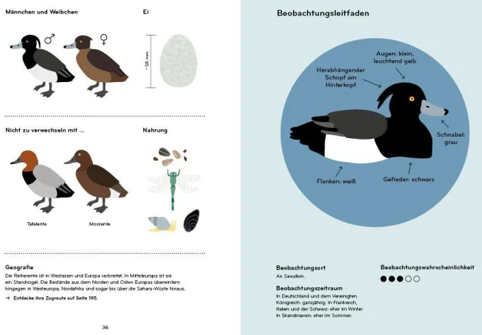 Ornithorama