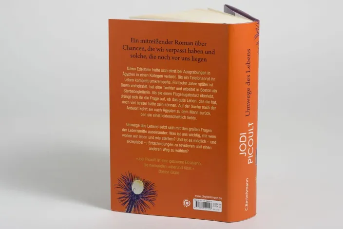 Picoult, Jodi: Umwege des Lebens