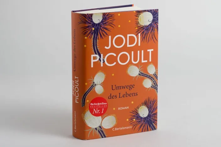Picoult, Jodi: Umwege des Lebens