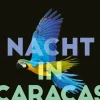 Sainz Borgo, Karina: Nacht in Caracas