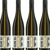 Sauvignon Blanc 2023, alkoholfrei, 6er Set