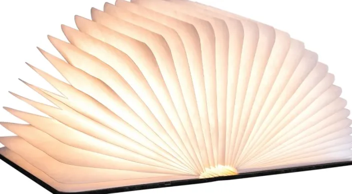 Smart Booklight- Leather black