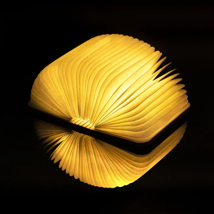 Smart Booklight »Walnuss«