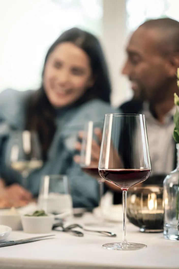 Weingläser Sommelier-Bundle »Vervino«