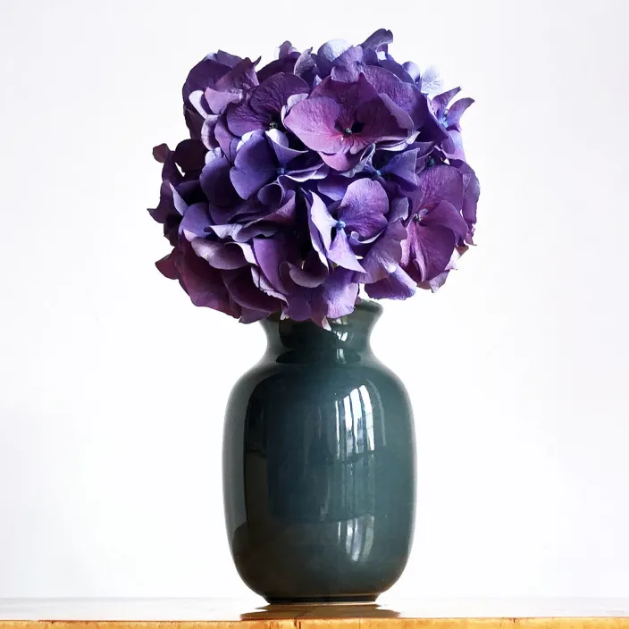 Werner Burri Vase W29B